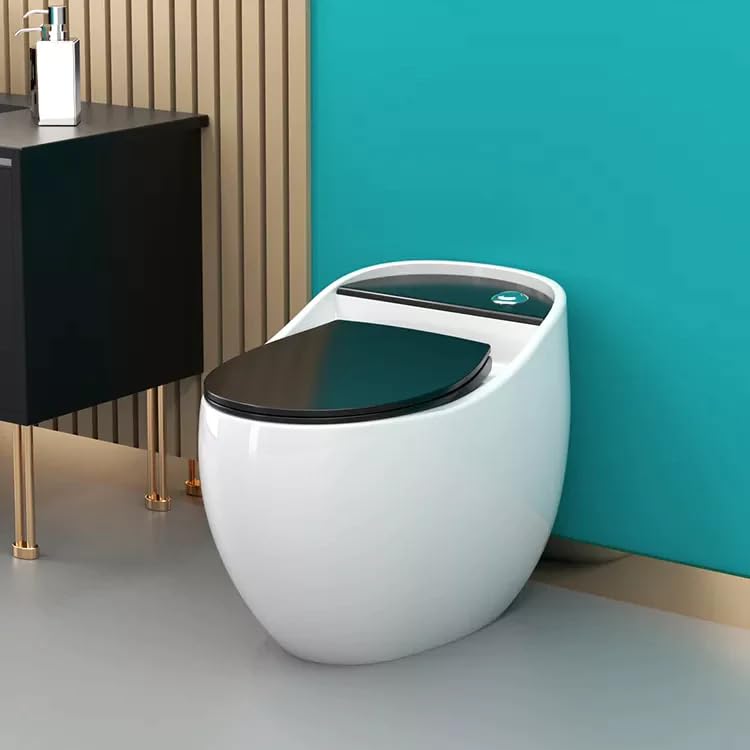 DUAL TONE GLOSSY ONE PIECE TOILET( BLACK & WHITE)