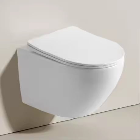 RIMLESS GLOSSY WALL MOUNT TOILET(WHITE)