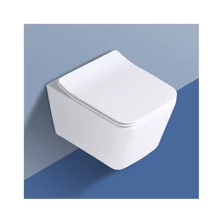 RIMLESS GLOSSY WALL MOUNT TOILET (WHITE GLOSSY)