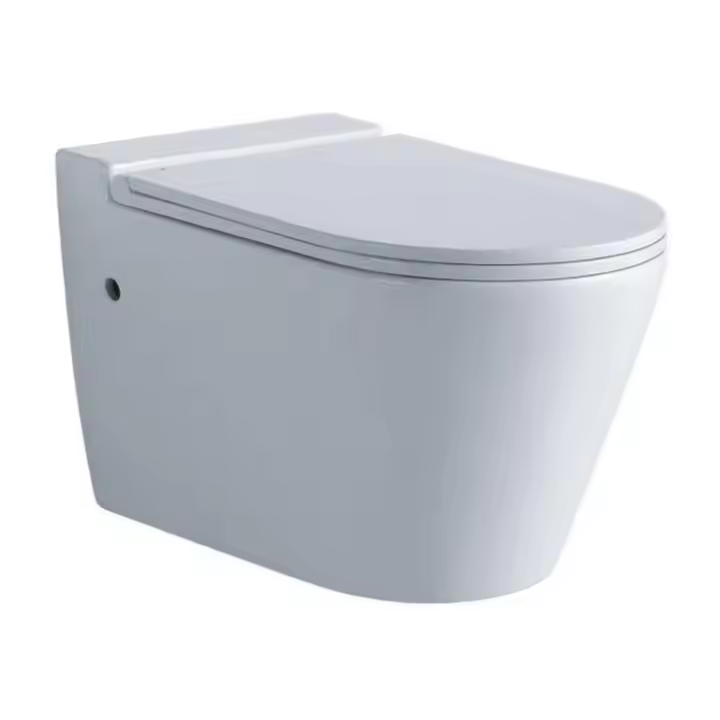 TANKLESS WALL MOUNT TOILET WHITE GLOSSY