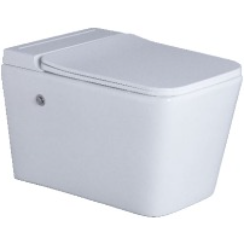 TANKLESS WALL MOUNT TOILET