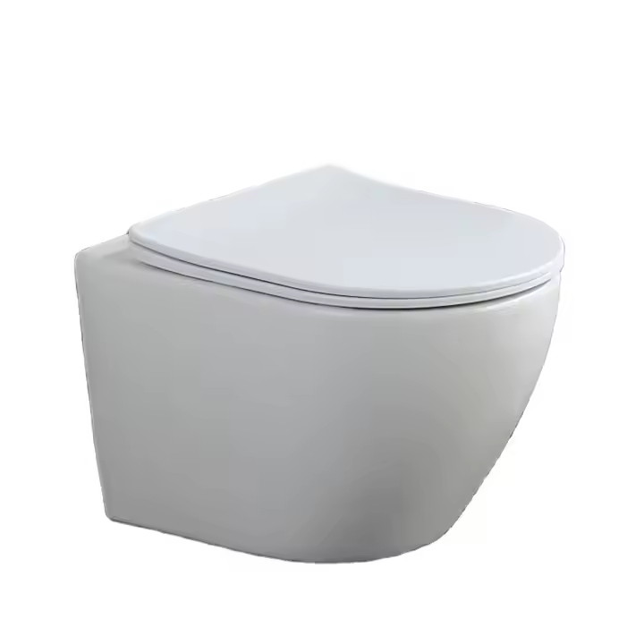 RIMLESS GLOSSY WALL MOUNT TOILET(WHITE)